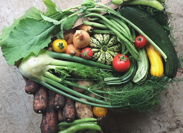 Coronavirus: how Argyll and Bute Council's focus on fresh and local food kept communities fed