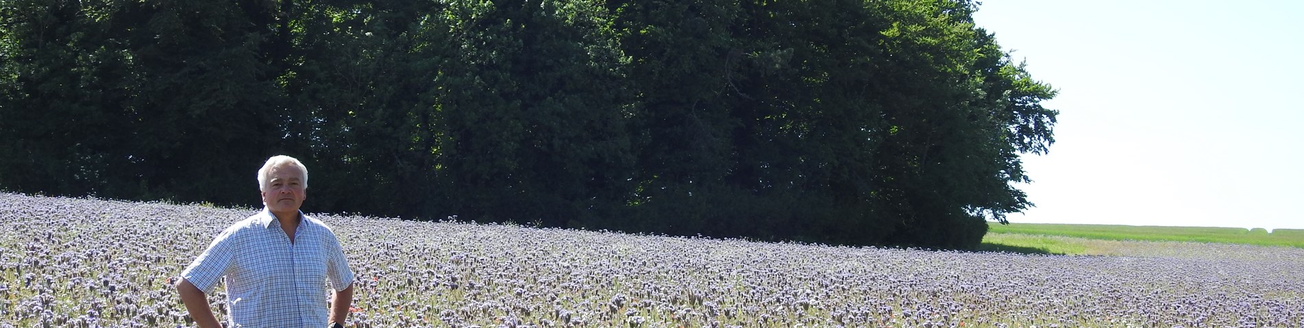 Nick Padwick in field.JPG
