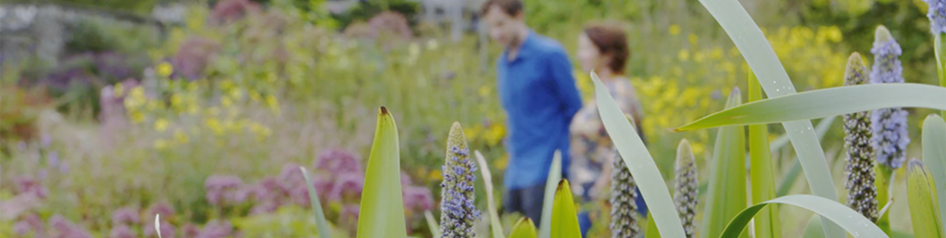 Yeo Valley Garden Photo 2.png
