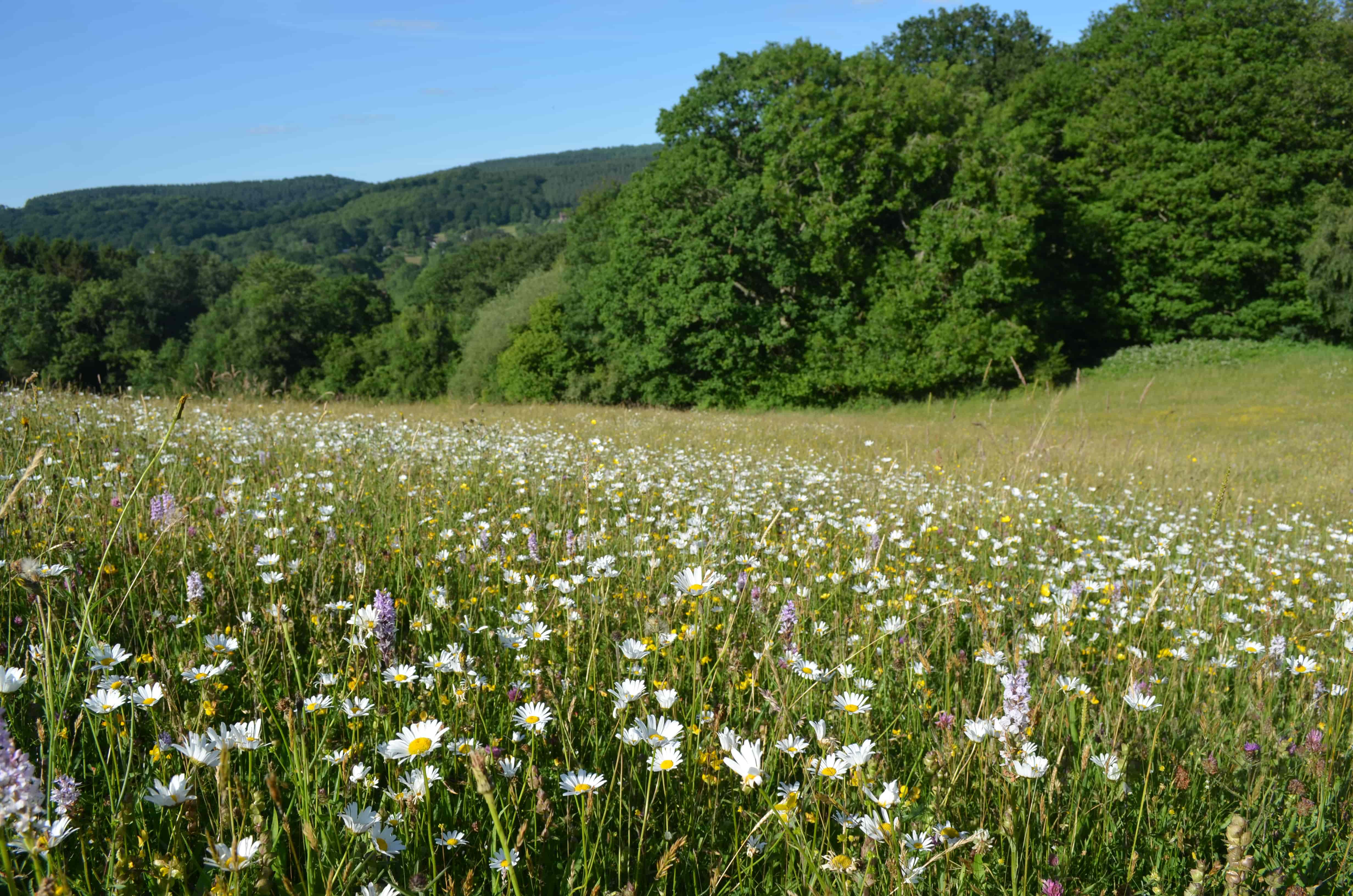 Fixing nitrogen: the challenge for climate, nature and health