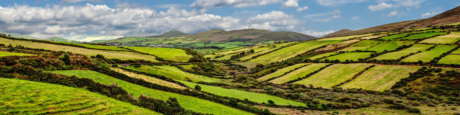 Land Trust Landscape 3