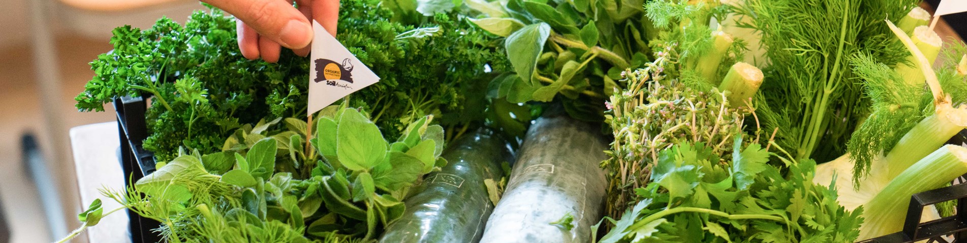 better foods veg.jpg