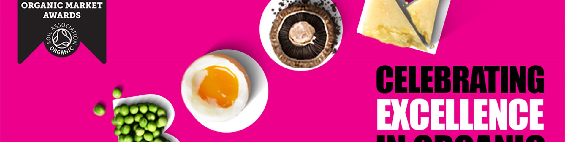 BOOMAwards2021_emailbanner.jpg