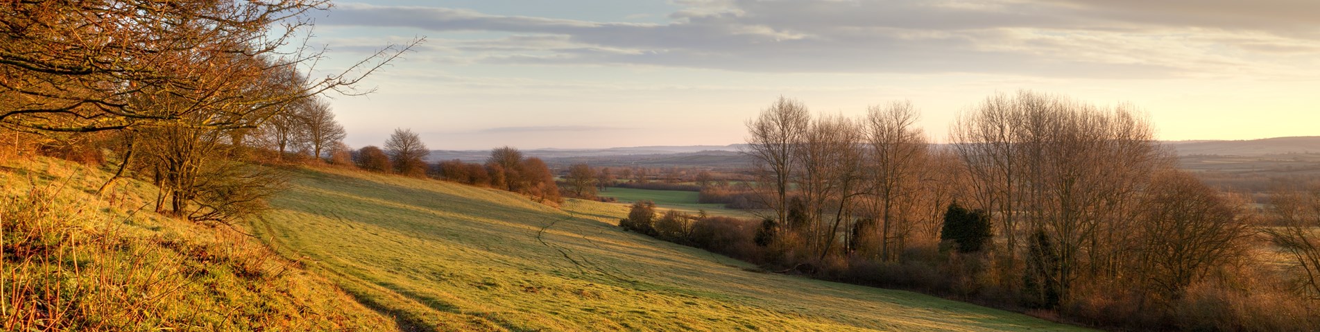 Land Trust Landscape 9