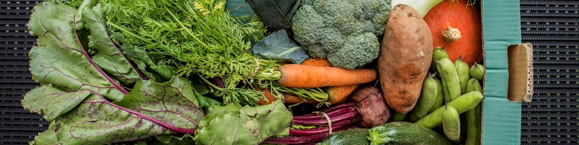 Our image - Leigh Court veg_reduced.jpg