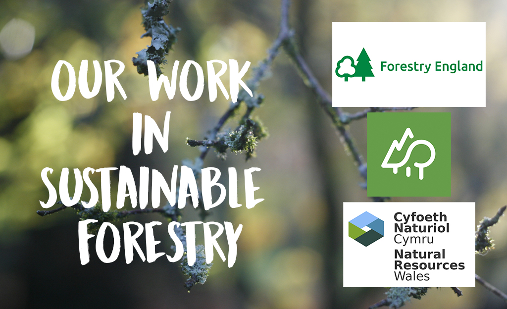 our work in sustainable forests around the UK