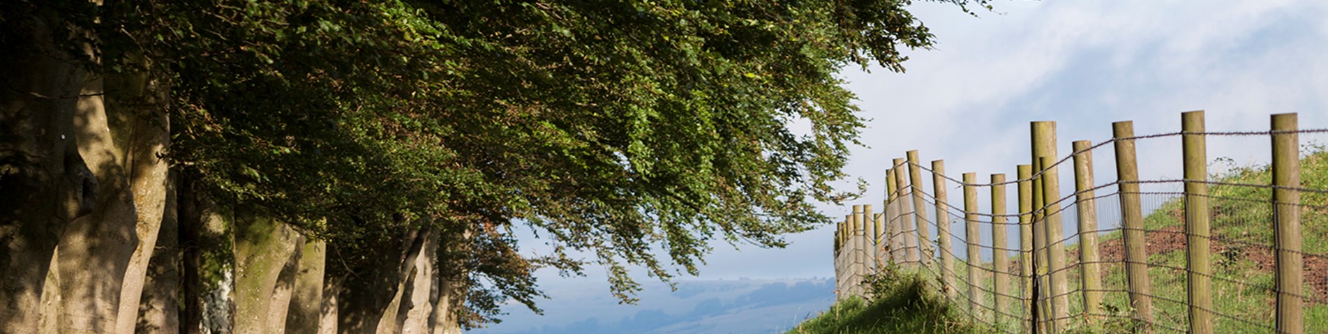 Landscape Draycott_07 twitter.jpg