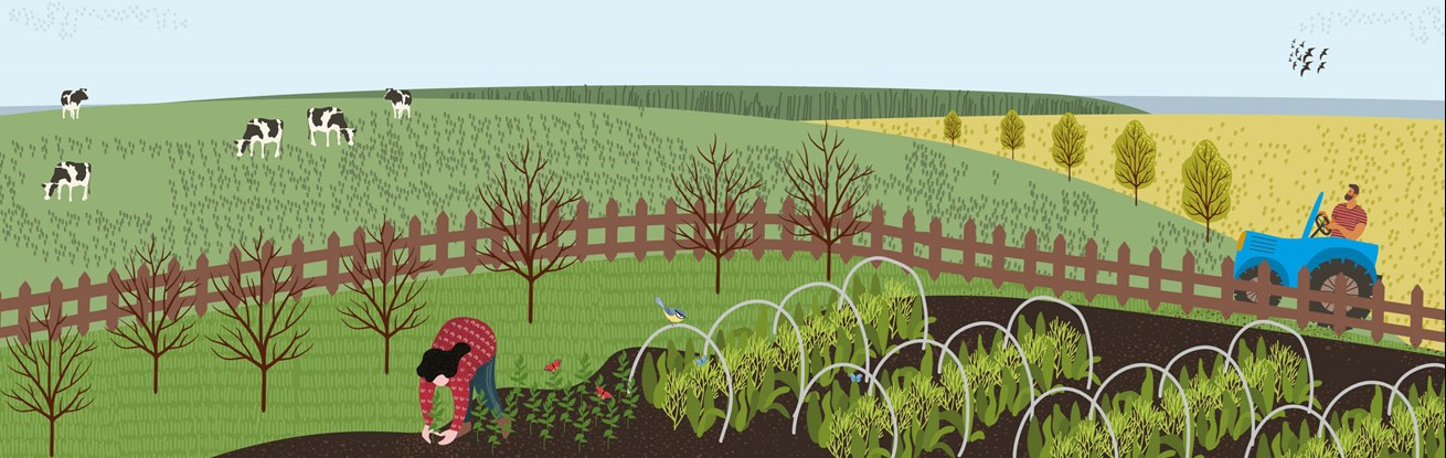 Website-Homepage-banner.jpg