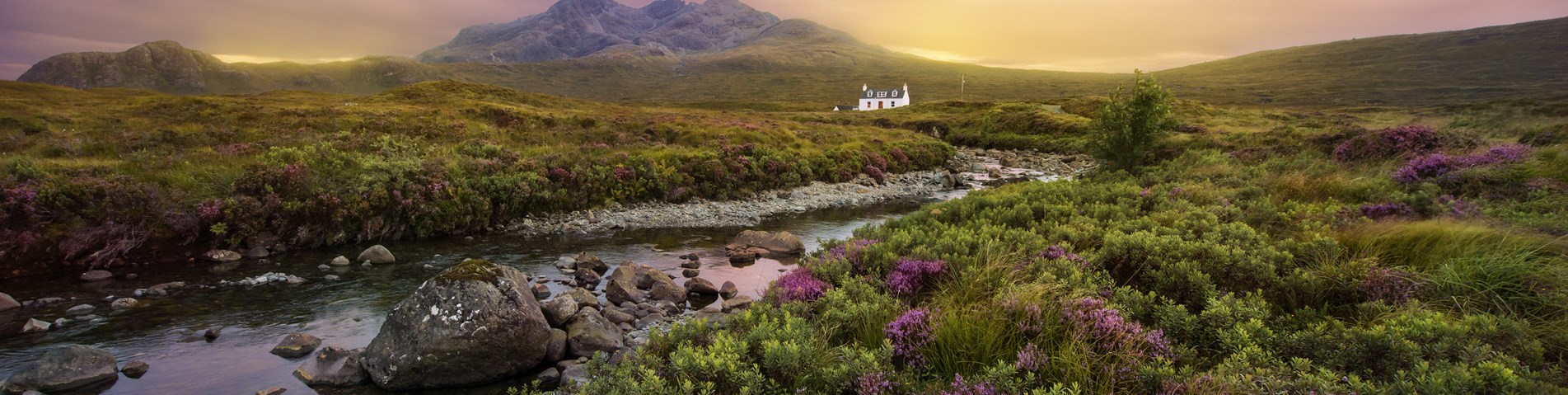 Glen with mountain heather and River Sligachan - Shutterstock.jpg