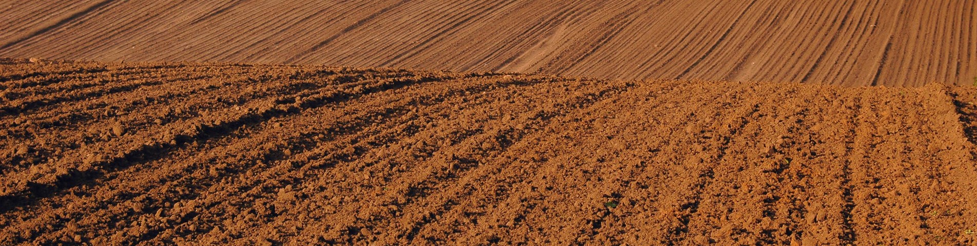 Ploughed field in Scotland landscape - Shutterstock.jpg