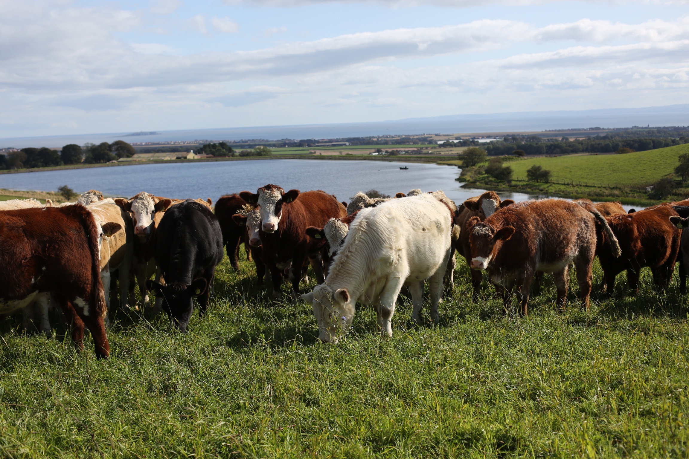 Banner Image-Hompage.JPG