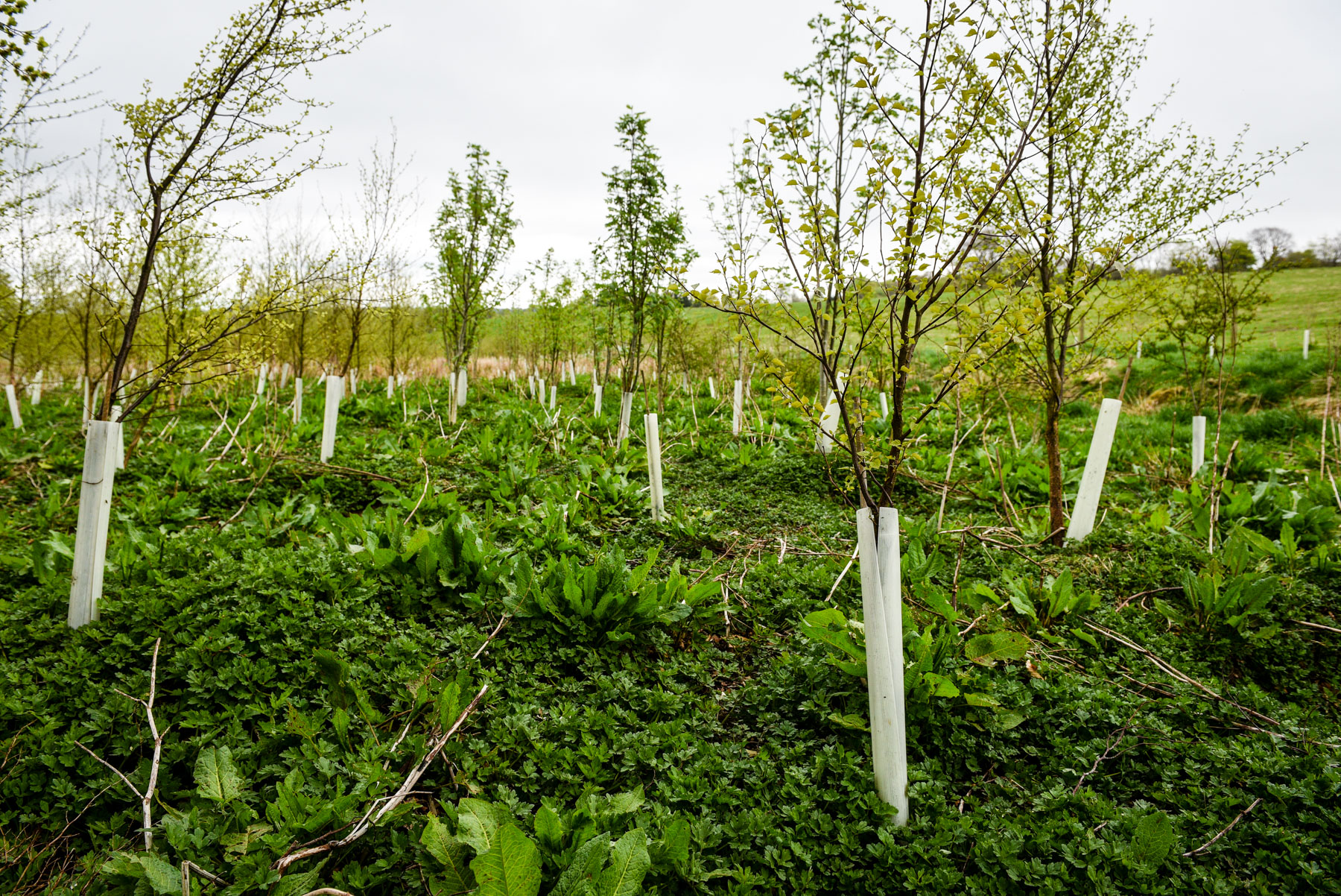 Parties set out stalls for election