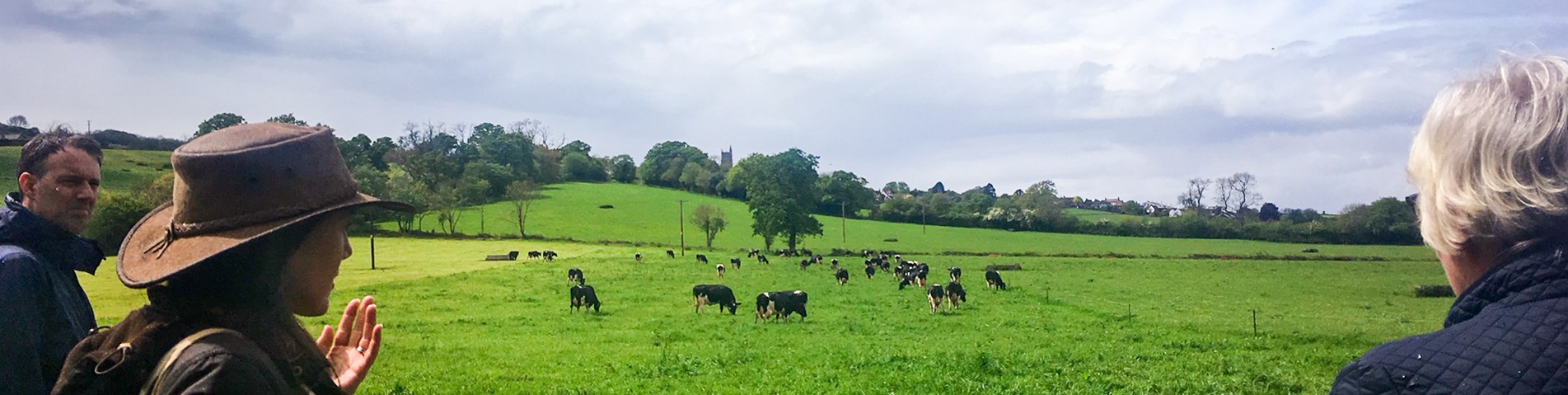YeoValley_May2019_edit-2.jpg