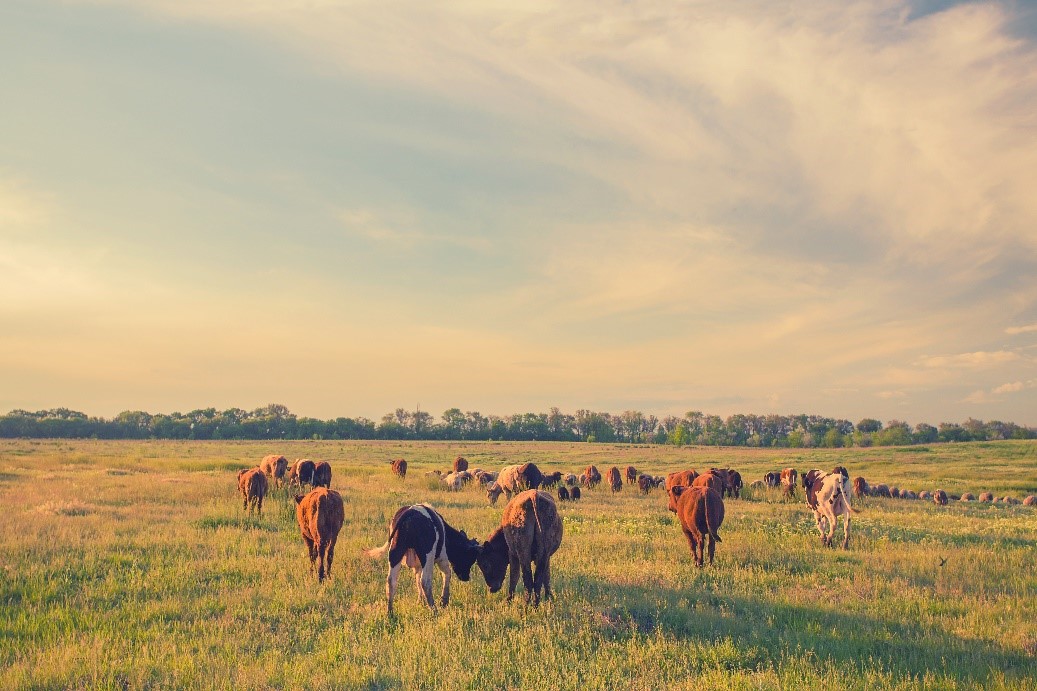Collaborative centre of excellence for nature friendly farming