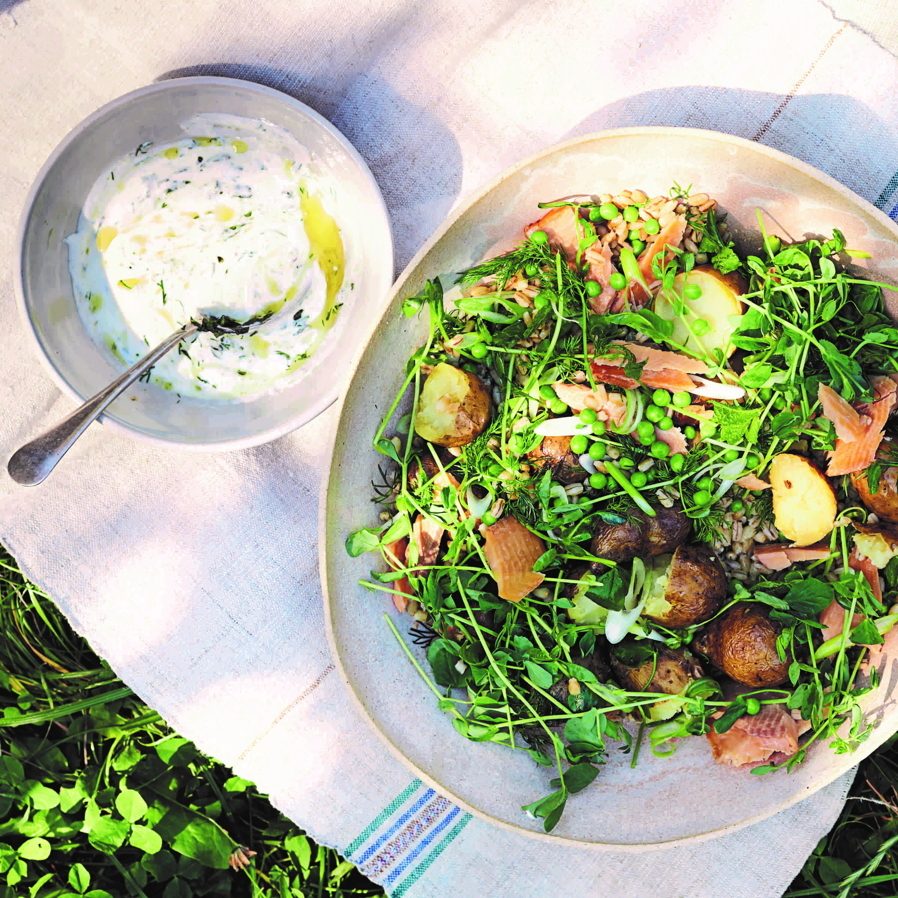 Pea Shoots and Jersey Royals sq.jpg