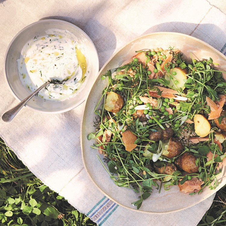 photo of kathy's pea shoot salad