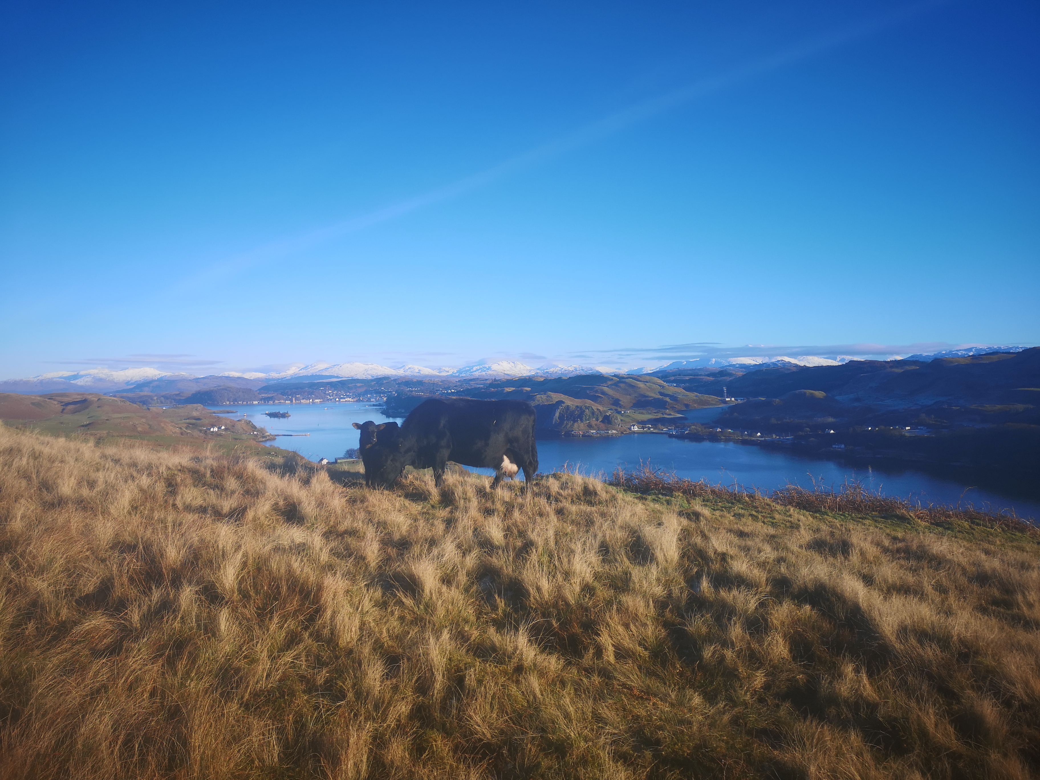 How to run a successful and climate-friendly livestock farm