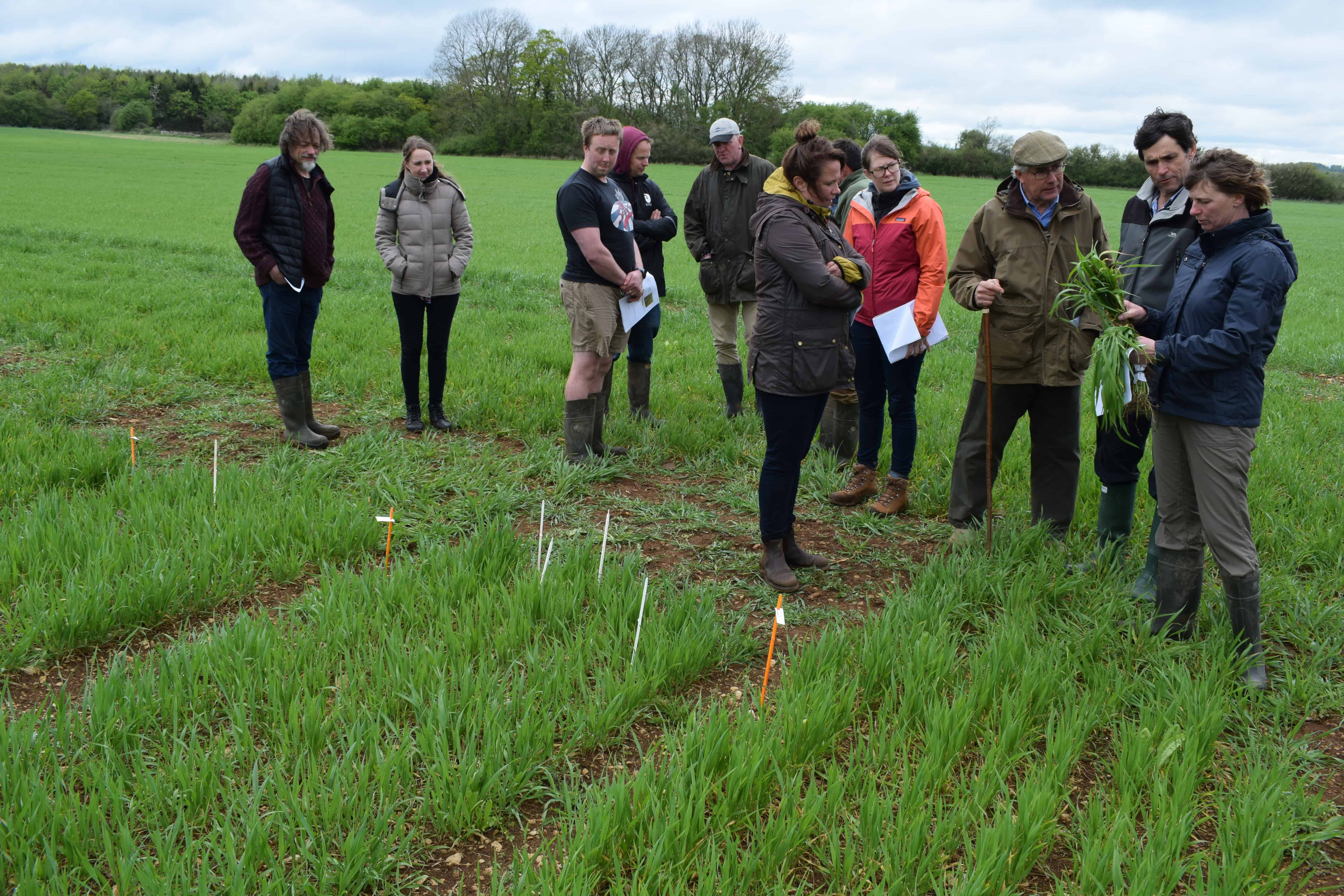 To achieve agroecology; we need farmer-led research