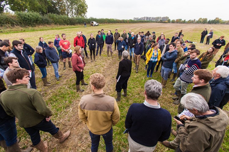 Group of farmers and researchers