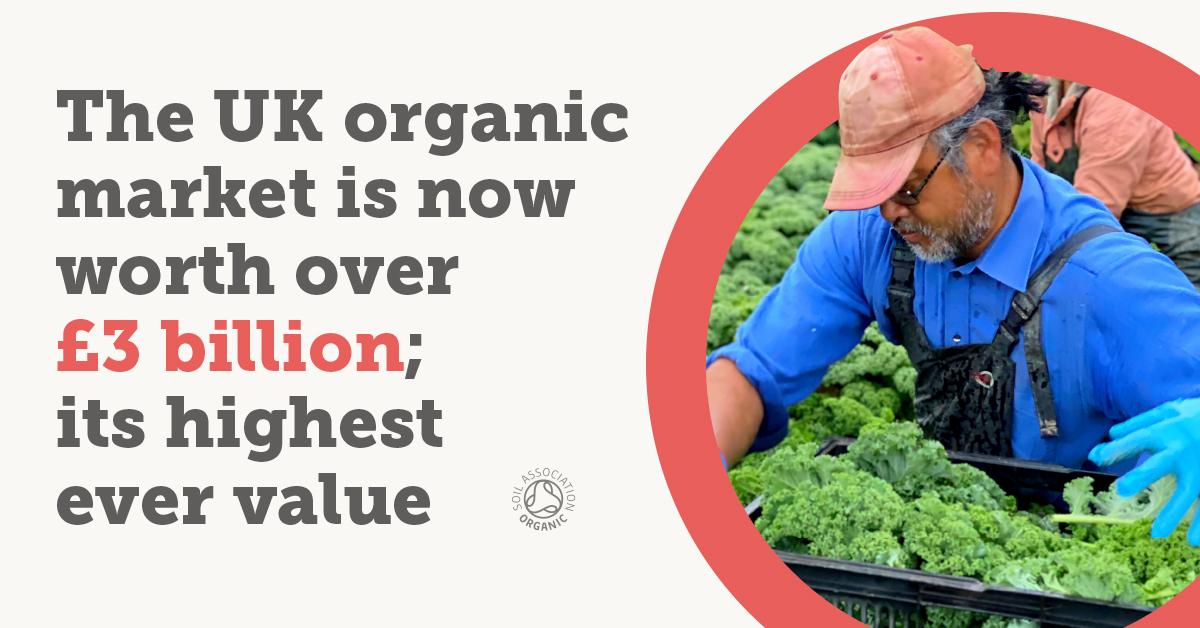 Organic market breaks £3bn mark showing exceptional growth and resilience