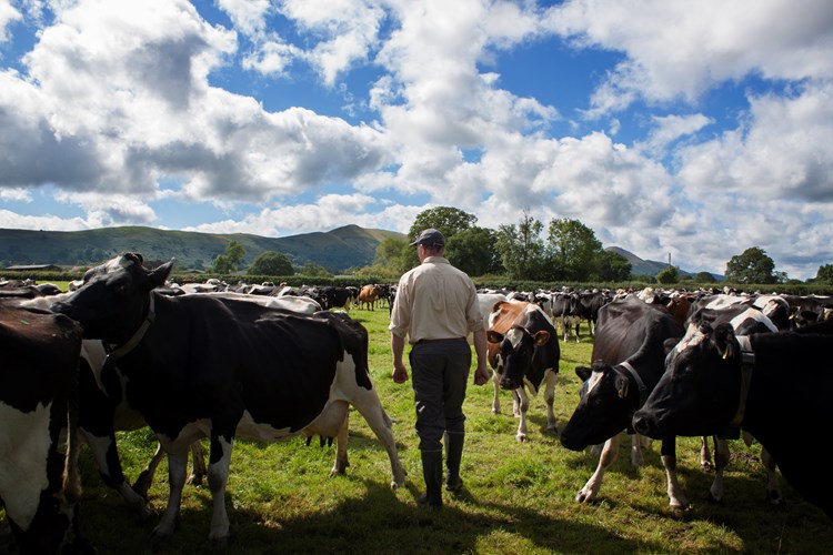 Government cash doubled for farmers who switch to organic