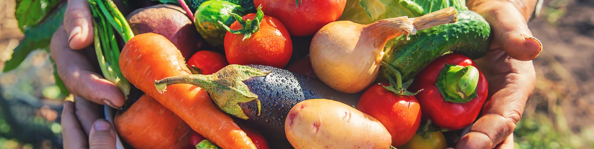 Veg image.jpeg