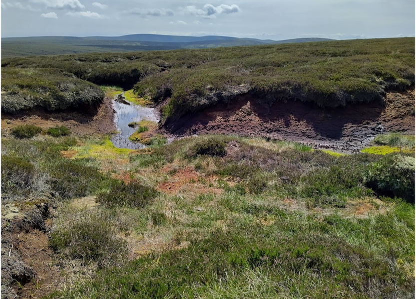 Peatland Code project in the Moorfoot Hills in Scotland