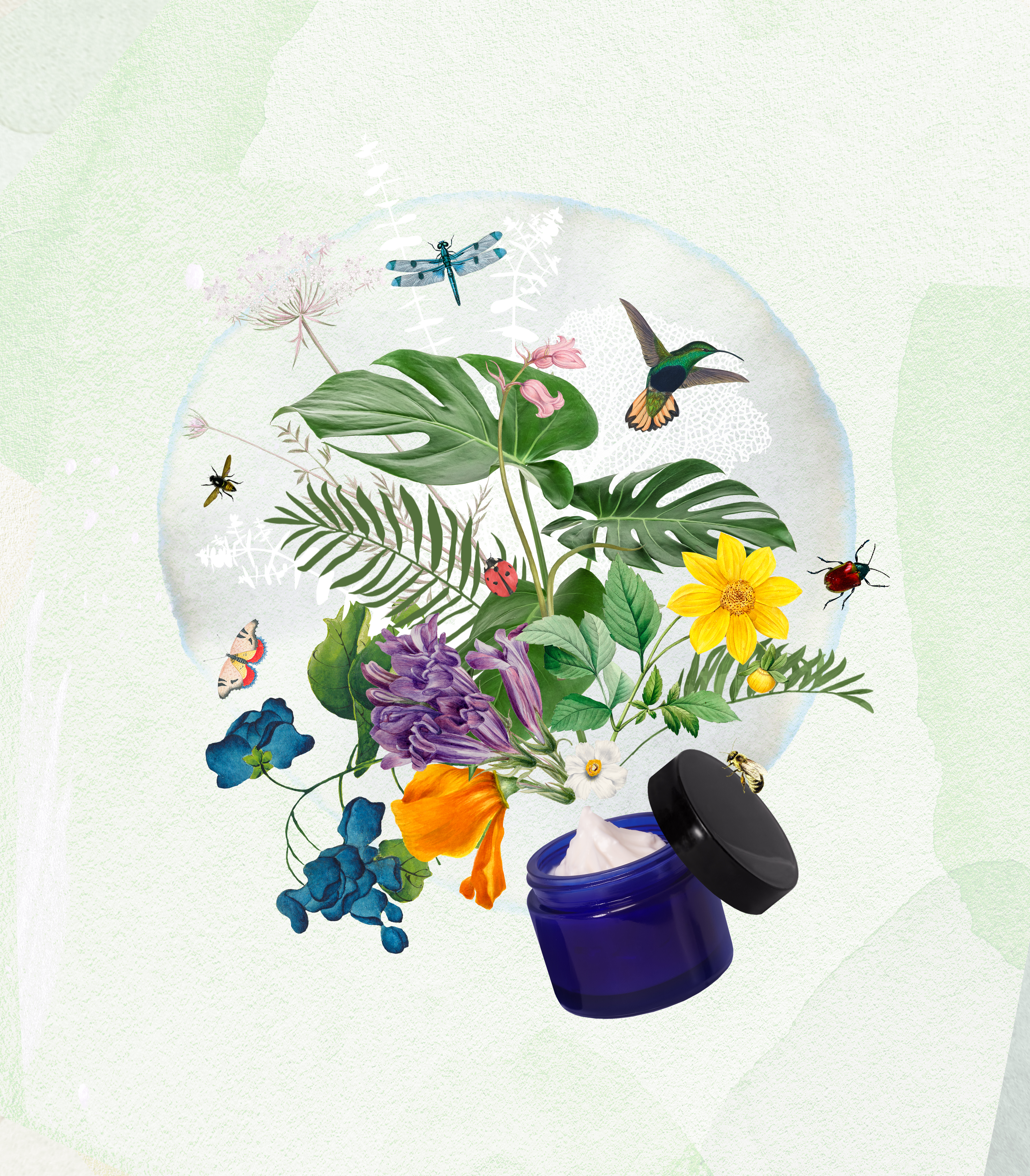 The Organic Beauty & Wellbeing Market Report