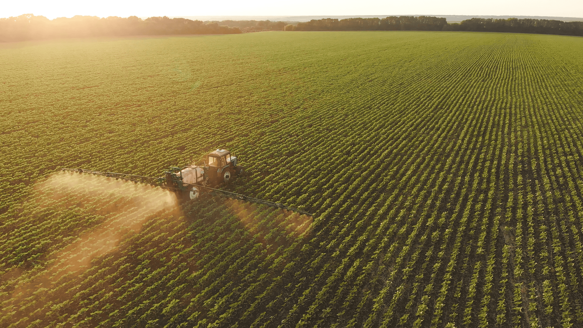 Reducing pesticides