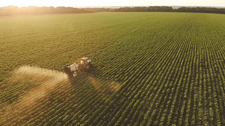 pesticides sprayed on crops