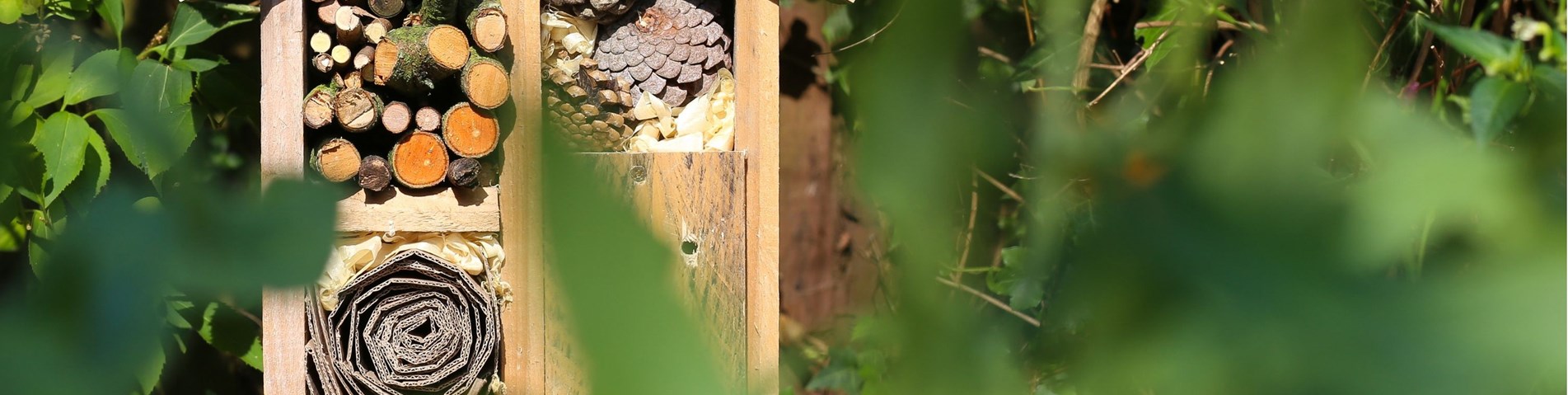 Insect_hotel_canva.jpg