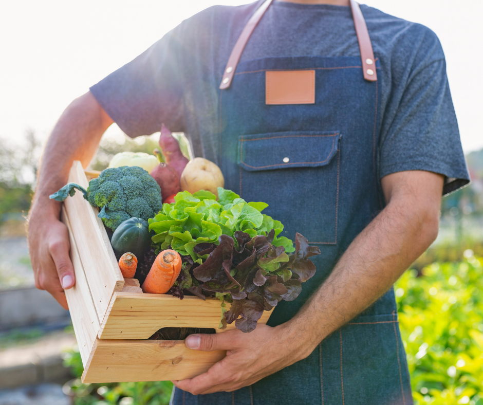 A ten year transition to agroecology
