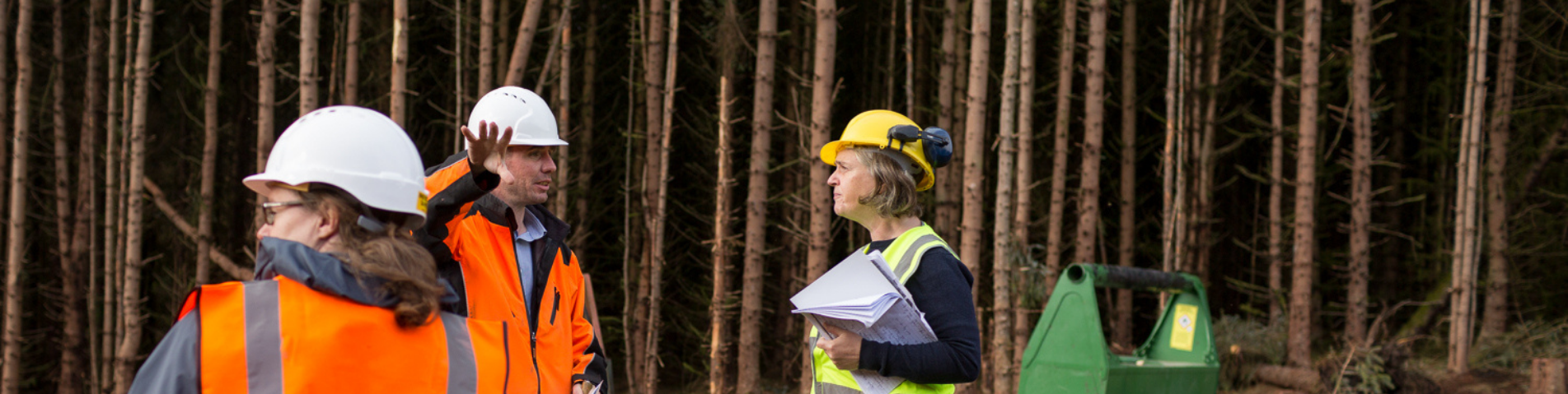 soil-association-certification-forestry-header-banner (1).png