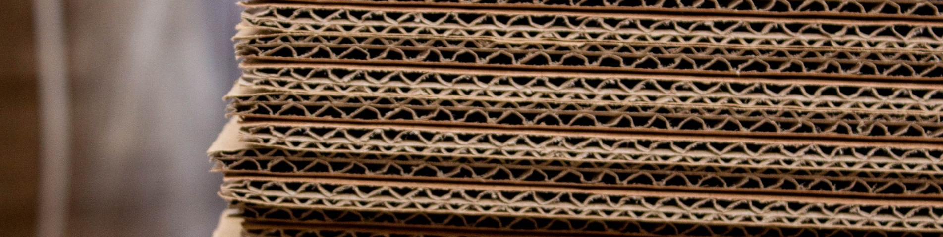 soil-association-certification-forestry-cardboard.jpg