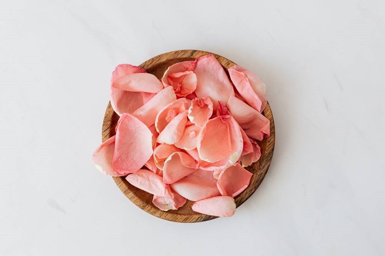 Rose Geranium