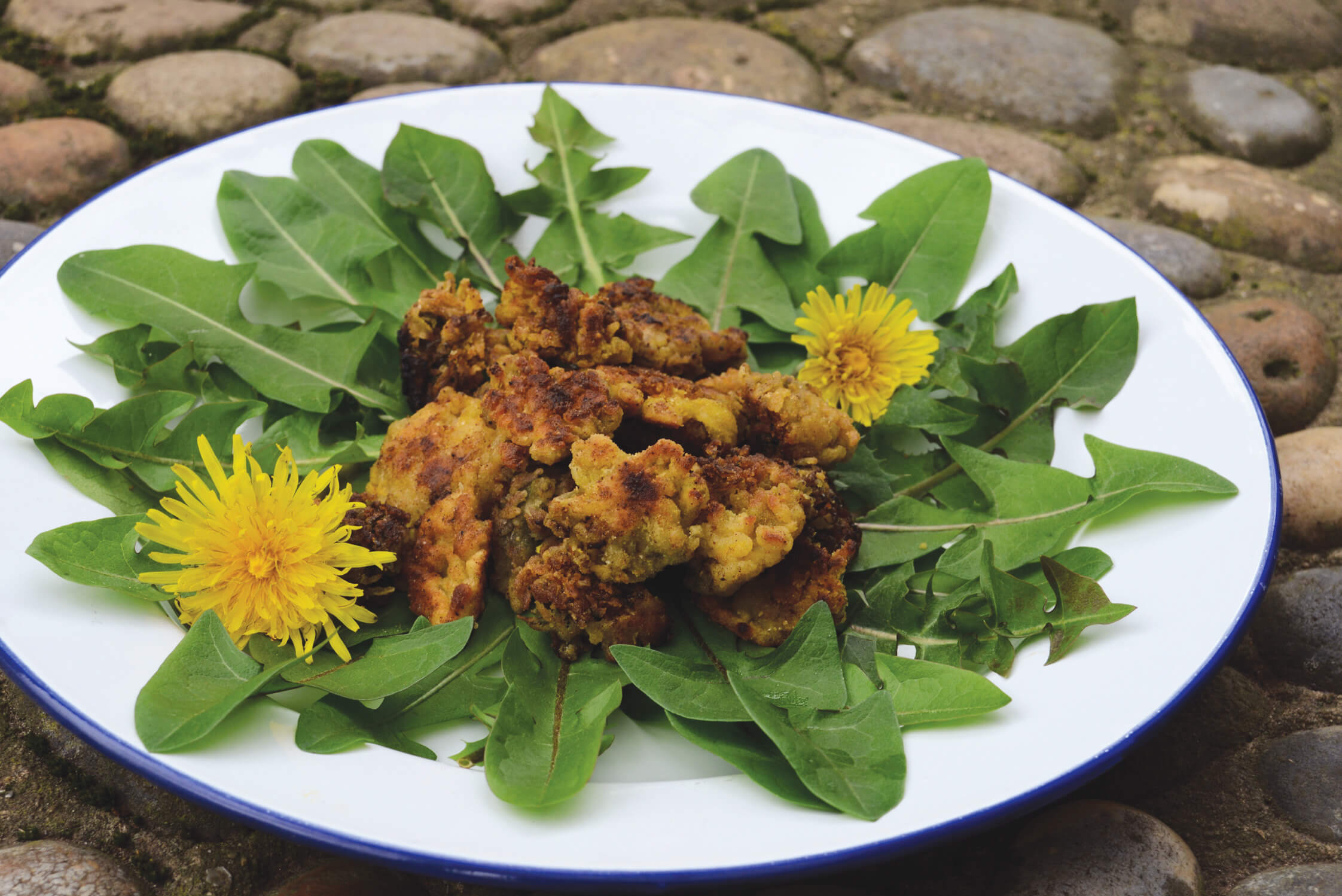 78 Dandelion nuggets.jpg (2)