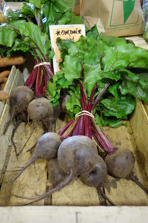 a bunch of harvested beetroot