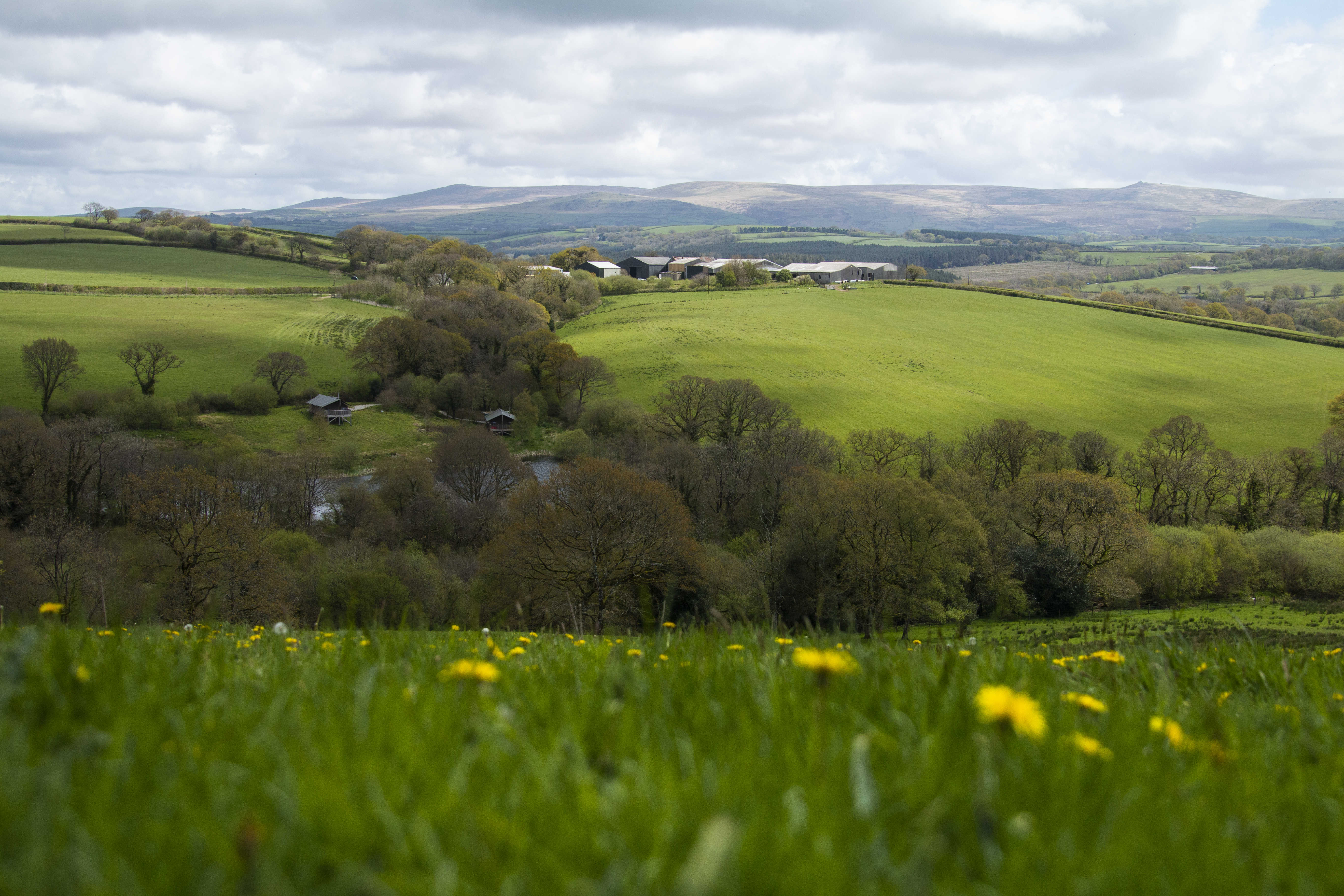 Farm1-Eversfield Organic Farm 1-Organic-12072024-PF Anna Elliot.jpg