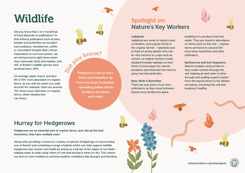 Farm board 3: Wildlife