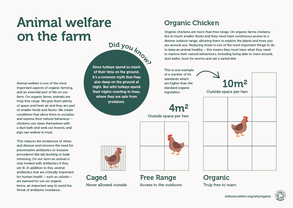 Farm board 4: Animal welfare