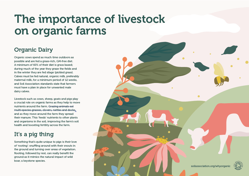 Farm board 5: The importance of livestock on organic farms