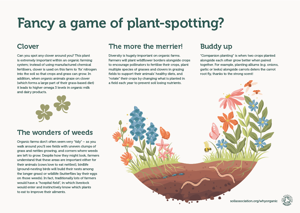 Farm board 6: Fancy a game of plant-spotting?