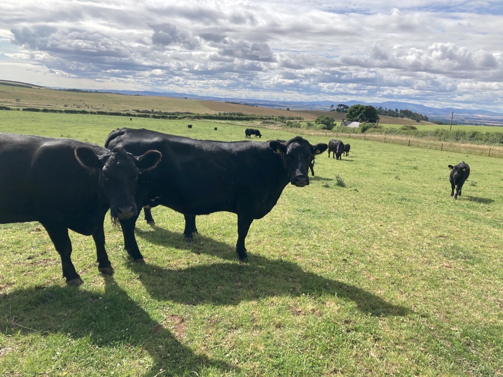 Pointing the way towards ‘sustainable farming’ for Scotland