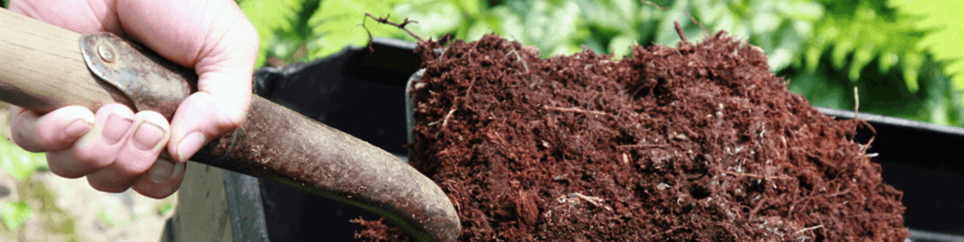 Make your own compost