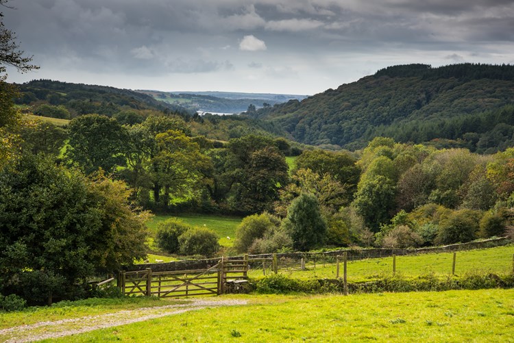 British countryside