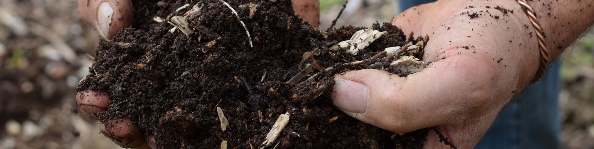 No Dig Gardening Mulch.jpg