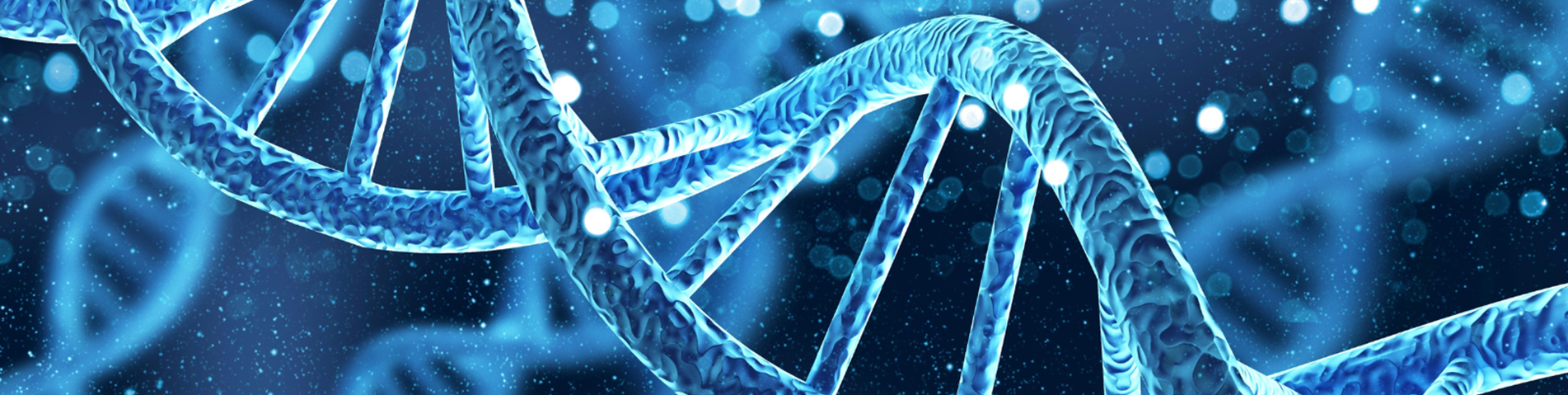 Untitled design.png (1)