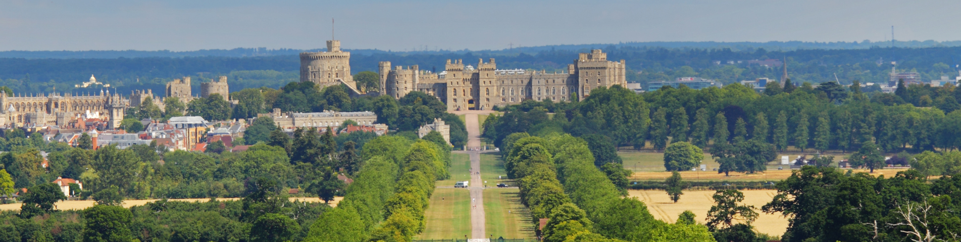 soil-association-certification-forestry-header-banner (6).png (1)