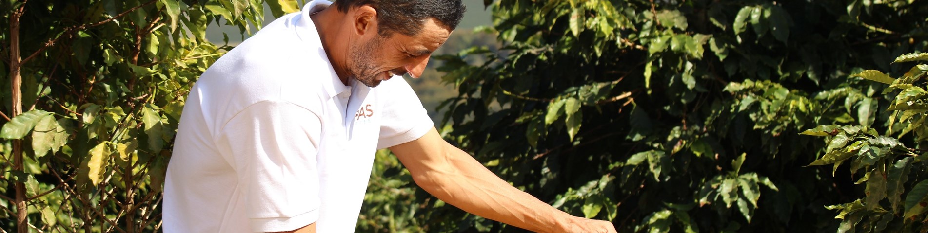 Ademilson Borges, a Fairtrade coffee farmers from the APASCOFEEE cooperative in Peru. Image credit_ CLAC.jpg