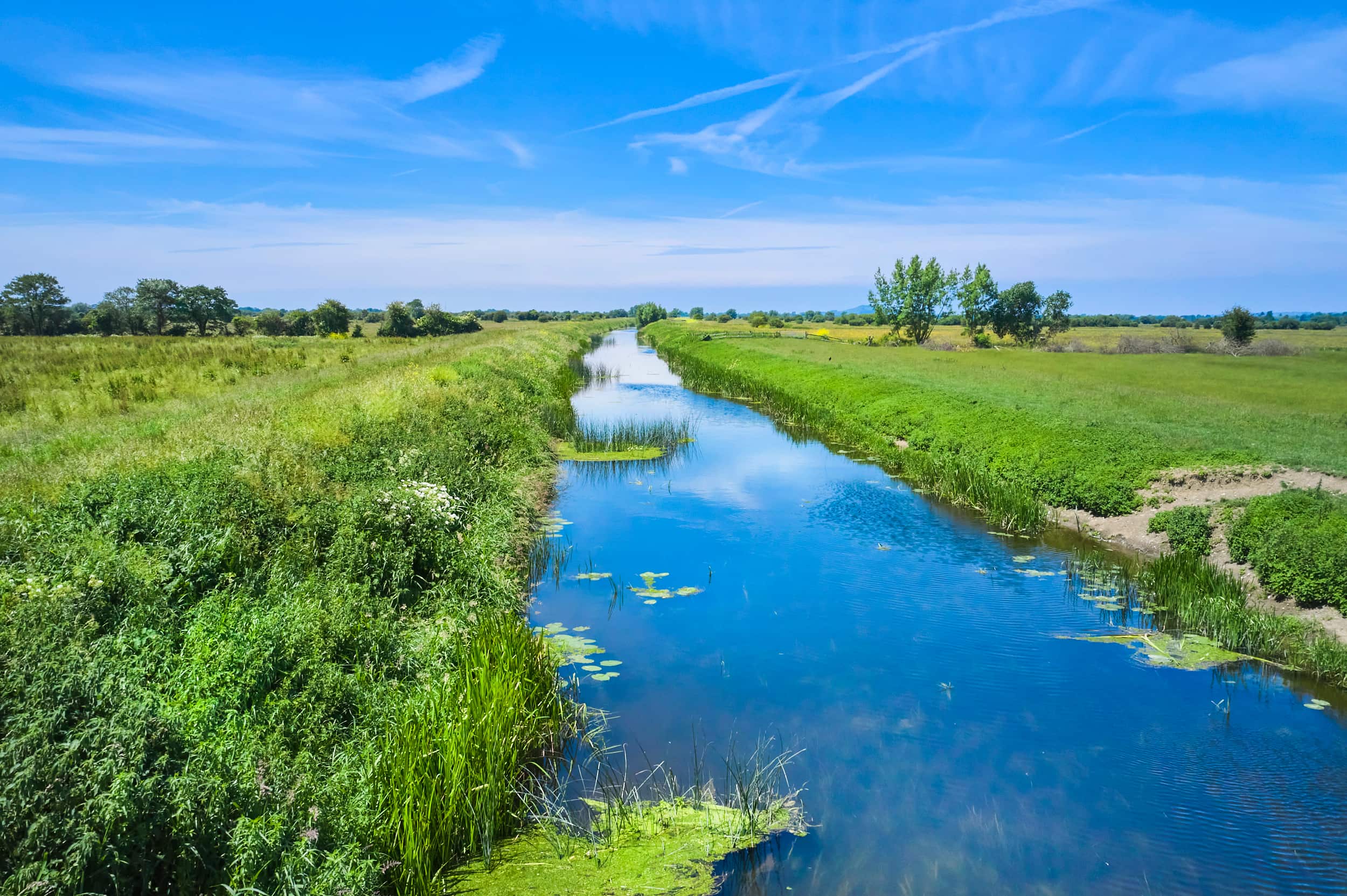 Soil Association Certification validates first Wilder Carbon projects